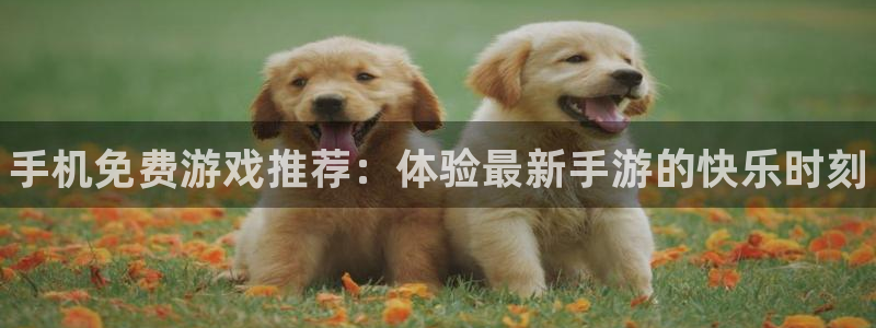 欧博娱乐网址官网：手机免费游戏推荐：体验最新手游的快乐时刻