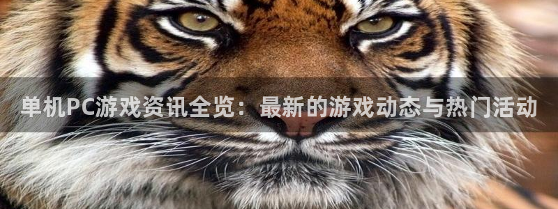 欧博娱乐：单机PC游戏资讯全览：最新的游戏动态与热门活动