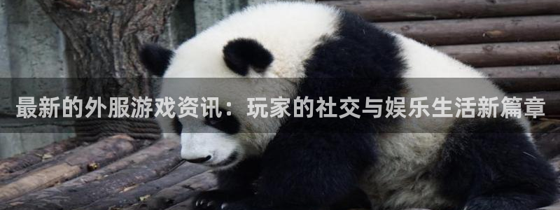 欧博娱乐4主管：最新的外服游戏资讯：玩家的社交与娱乐生活新篇