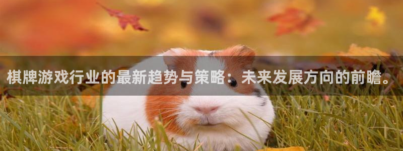 欧博娱乐平台官方网站：棋牌游戏行业的最新趋势与策略：未来发展