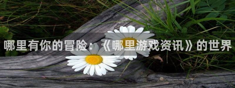 欧博娱乐娱乐是真的吗：哪里有你的冒险：《哪里游戏资讯》的世界