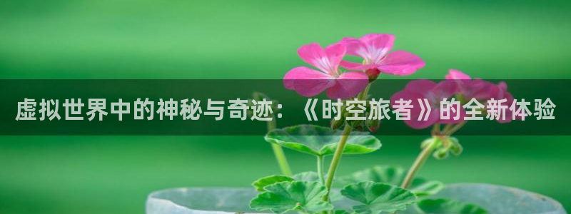 欧博娱乐网页登录入口下载：虚拟世界中的神秘与奇迹：《时空旅者