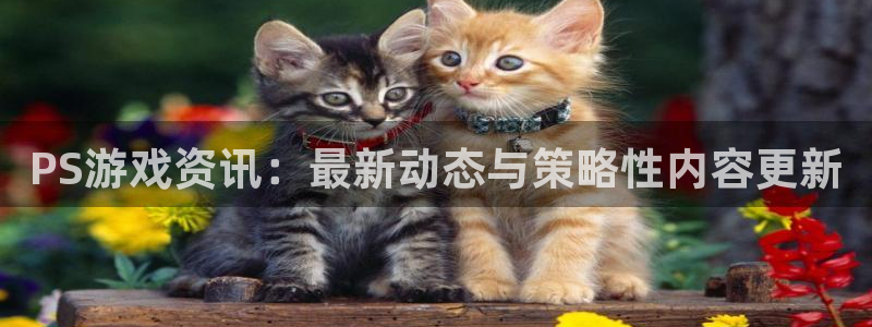 欧博娱乐app下载：PS游戏资讯：最新动态与策略性内容更新