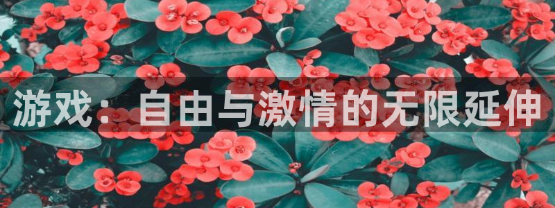 欧博娱乐登录：游戏：自由与激情的无限延伸