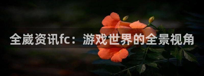 欧博娱乐4主管：全崴资讯fc：游戏世界的全景视角