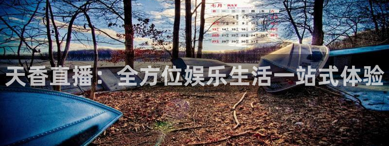 178体育直播官网