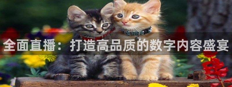 178在线体育直播