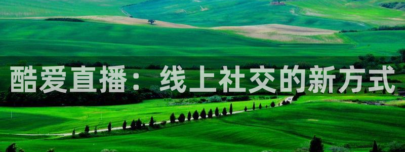 178体育足球直播平台