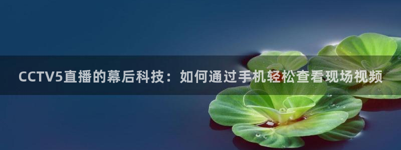 178直播高清体育直播：CCTV5直播的幕后科技：如何通过手机轻松查看现场视频
